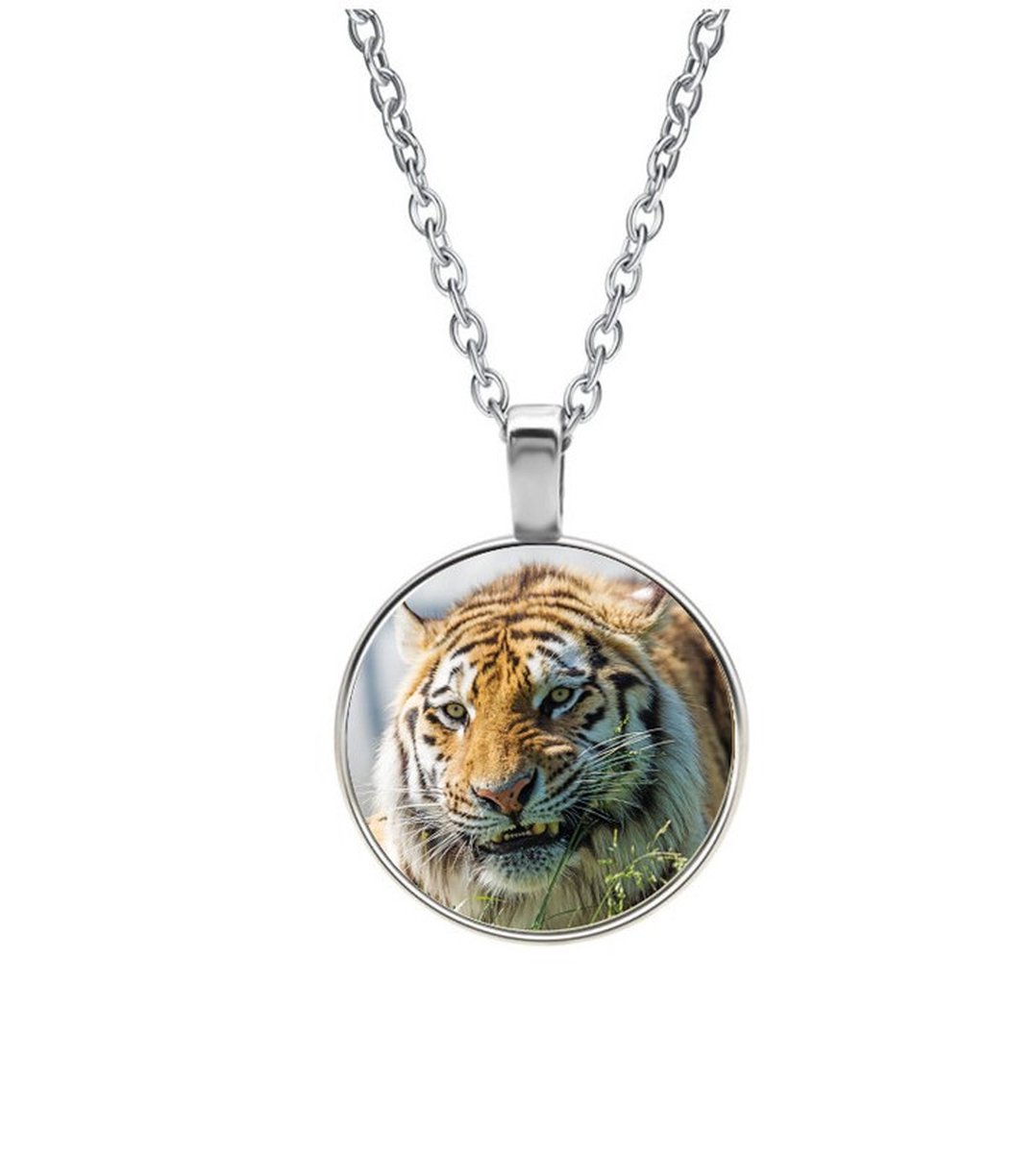 Ketting Glas - Tijger