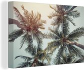 Canvas Schilderij Palmboom - Zomer - Tropisch - 30x20 cm - Wanddecoratie