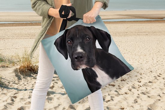 Sac bandoulière - Sac de plage - Shopper Sweet chien noir et blanc - 40x40 cm - Sac coton