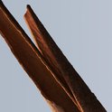 Product afbeelding  18