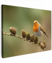 Tableau extérieur jardin 80x60 cm - Décoration de jardin Vogel - Rouge-gorge - Pomme de pin - Branche - Automne - Poster jardin sur toile - Décoration murale Jardin - Décoration tableau extérieur - Décoration murale clôture - Toile extérieur