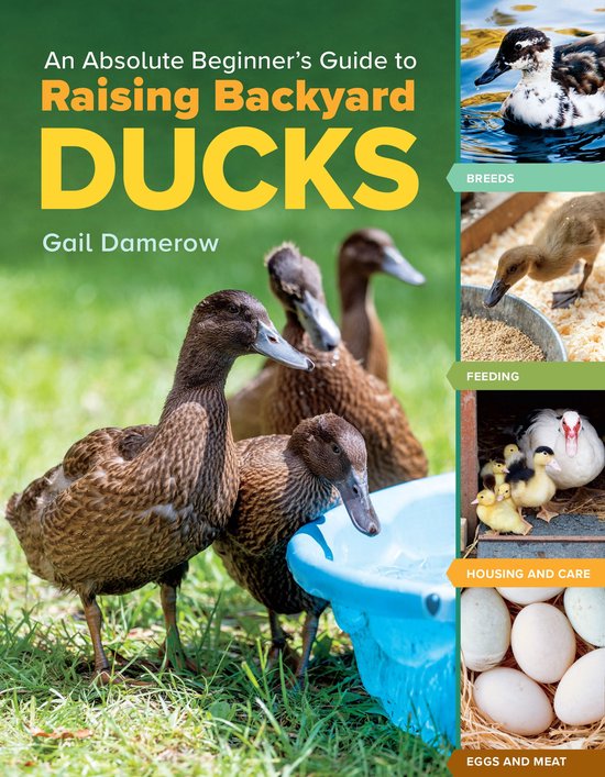 An Absolute Beginner's Guide to Raising Backyard Ducks - cover