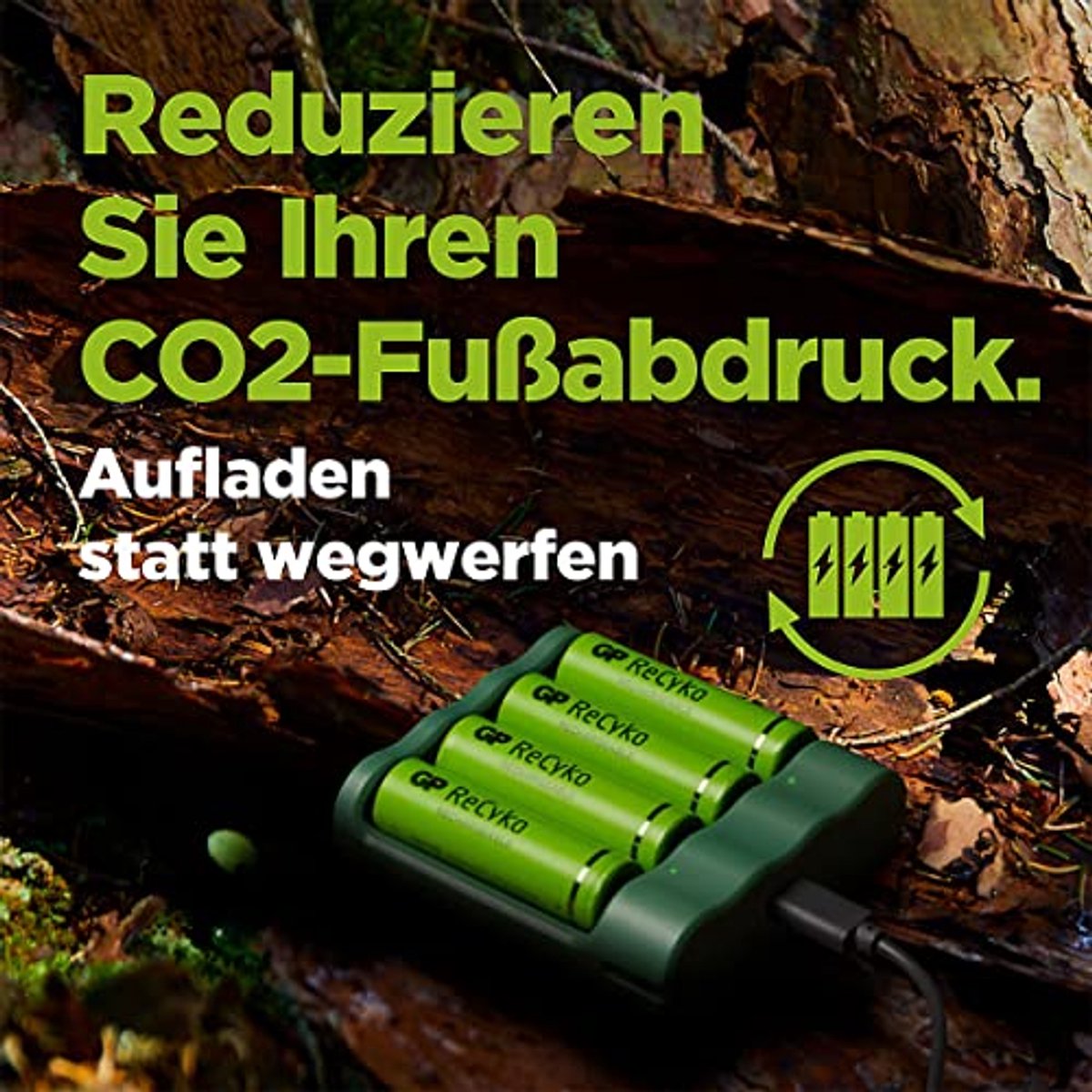 Oplader voor AAA NiMH Batterijen (USB) met 4 AAA 850mAh Batterijen