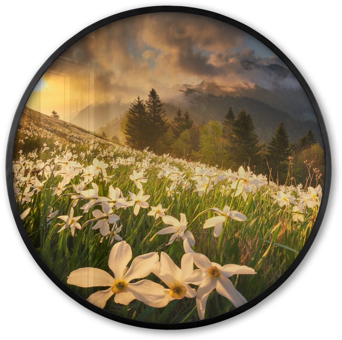 FrameYourWall Poster in lijst Rond - Fotolijst 60x60 cm - Posters - Bloemenveld - Heuvels - Zonsondergang - Berg - Natuur - Wit - Heuvels - Ronde posterlijst zwart - Decoratie - Wanddecoratie woonkamer - Muurdecoratie slaapkamer Multicolor
