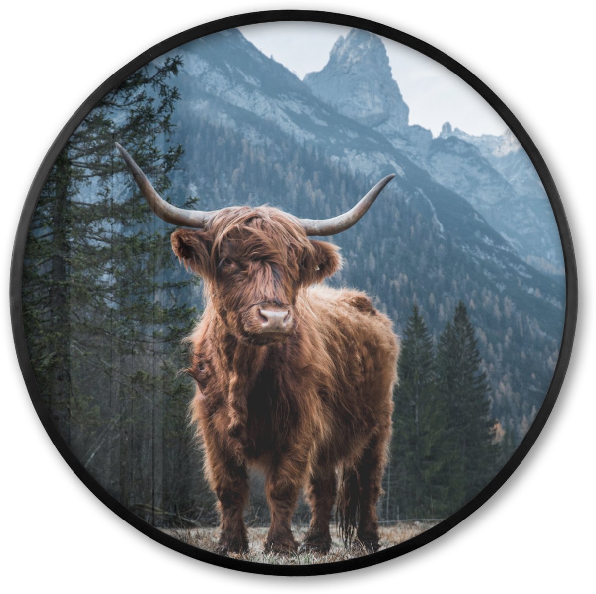 FrameYourWall Poster in lijst Rond - Fotolijst 80x80 cm - Posters - Schotse hooglander - Berg - Landschap - Bomen - Koe - Natuur - Ronde posterlijst zwart - Decoratie - Wanddecoratie woonkamer - Muurdecoratie slaapkamer Schotse hooglander - Natuur