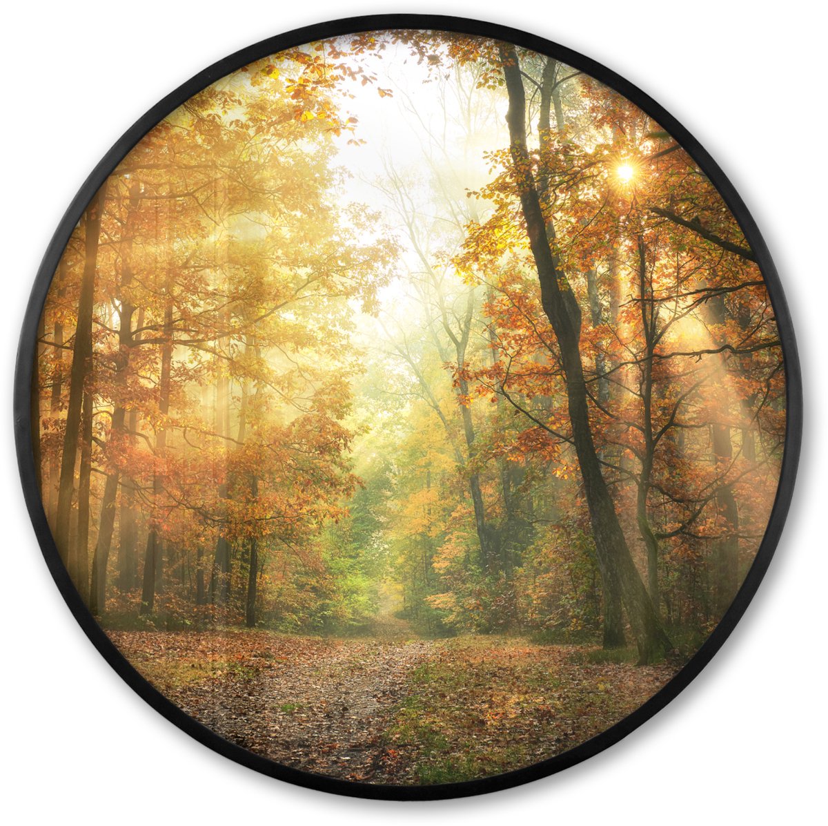 FrameYourWall Poster in lijst Rond - Fotolijst 60x60 cm - Posters - Bos - Herfst - Zon - Landschap - Natuur - Bomen - Bladeren - Ronde posterlijst zwart - Decoratie - Wanddecoratie woonkamer - Muurdecoratie slaapkamer Groen