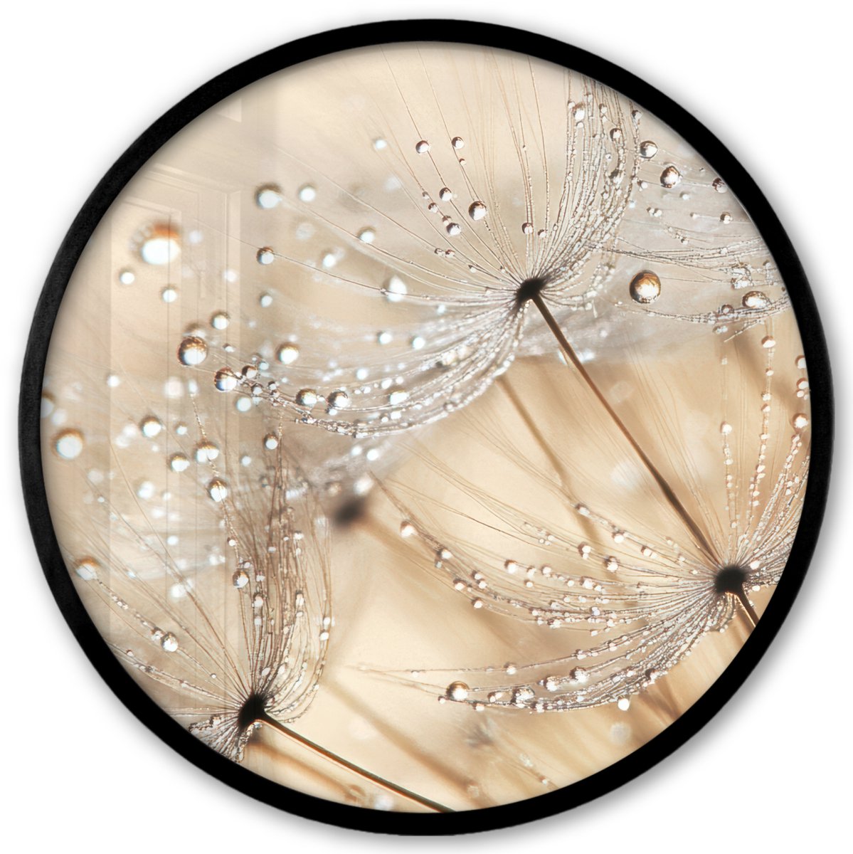 FrameYourWall Poster in lijst Rond - Fotolijst 40x40 cm - Posters - Paardenbloem - Abstract - Natuur - Beige - Ronde posterlijst zwart - Decoratie - Wanddecoratie woonkamer - Muurdecoratie slaapkamer Paardenbloem - Water