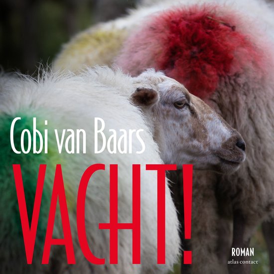Vacht! - cover