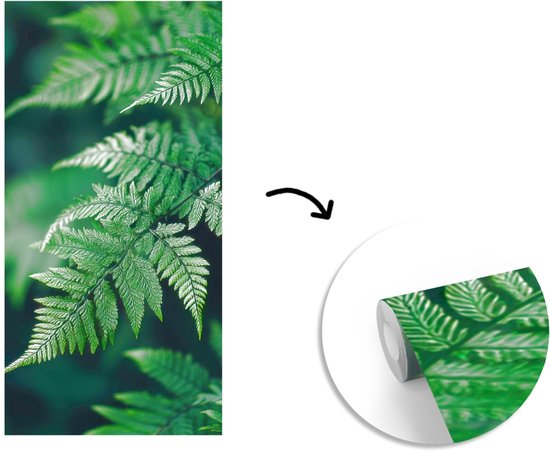 Behang - Fotobehang Varenblad - Groen - Structuur - Wazig - Breedte 120 cm x hoogte 240 cm