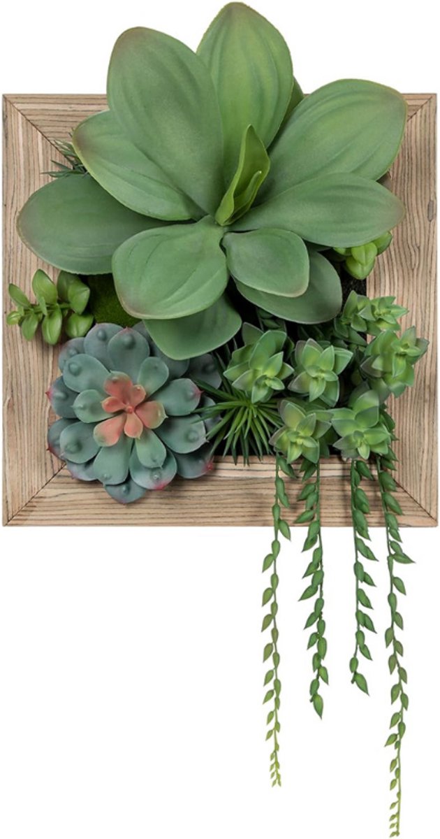 BOG Kunstsucculenten In Houten Bak - Kunstplanten Voor Wanddecoratie En Tafeldecoratie - Hangende Planten Voor Muur Of Wandbehang - Esthetische Decoratie GROEN