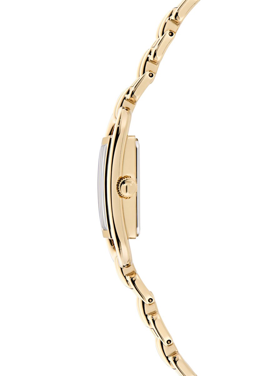 Ted Baker Tessye Kwarts Analoog Horloge Gouden Toon Case: 100% Stainless Steel | Armband: 100% Stainless Steel 17 mm BKPTTF405W0