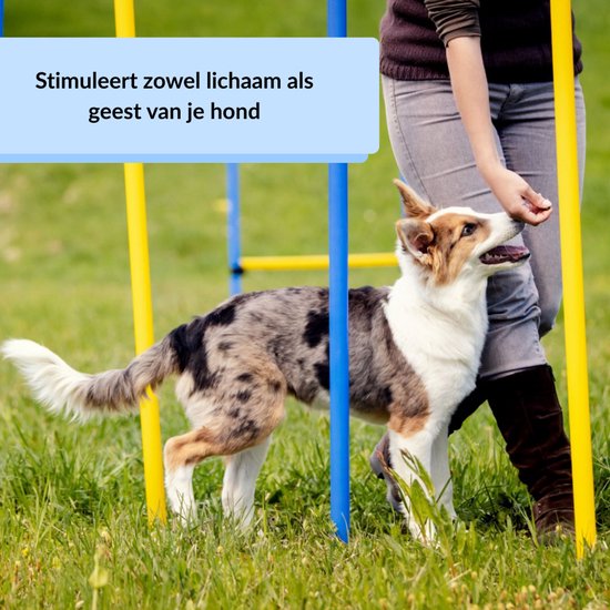 Agility Set voor honden, 5-delig set behendigheidsuitrusting voor