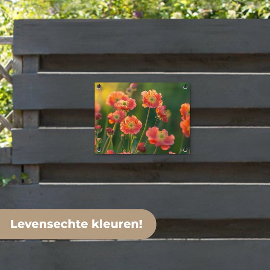 Tuinposter 40x30 cm - Tuindecoratie Bloemenveld - Zonnestralen - Oranje - Poster voor in de tuin - Buiten decoratie - Schutting tuinschilderij - Tuindoek muurdecoratie - Wanddecoratie balkondoek
