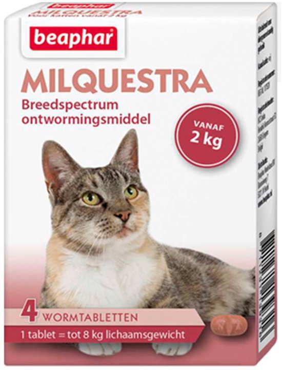 Beaphar Milquestra Kleine kat/kitten - 0,5 tot 4 Kg - 2 tabletten