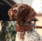 Cuir pour chien en cuir marron avec Décoration en métal | Collier en cuir pour Chiens | Taille XL | Petshop Sept