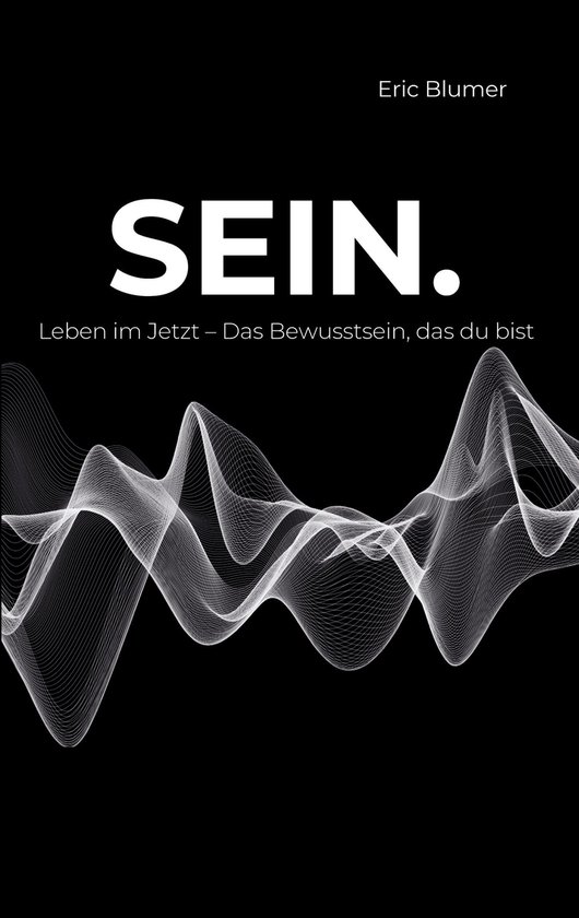 SEIN. - cover
