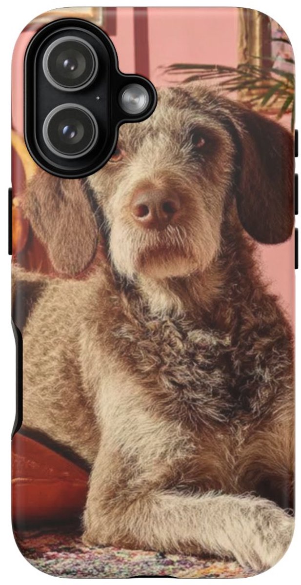 Bruine Hond in Gezellige Kamer – Telefoonhoesje Geschikt voor iPhone 17