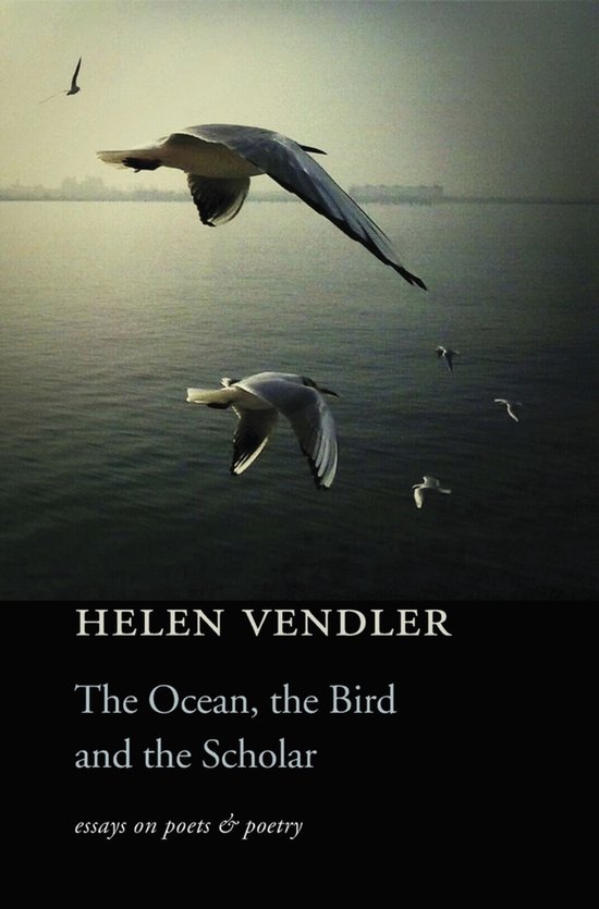 The Ocean, the Bird, and the Scholar - cover