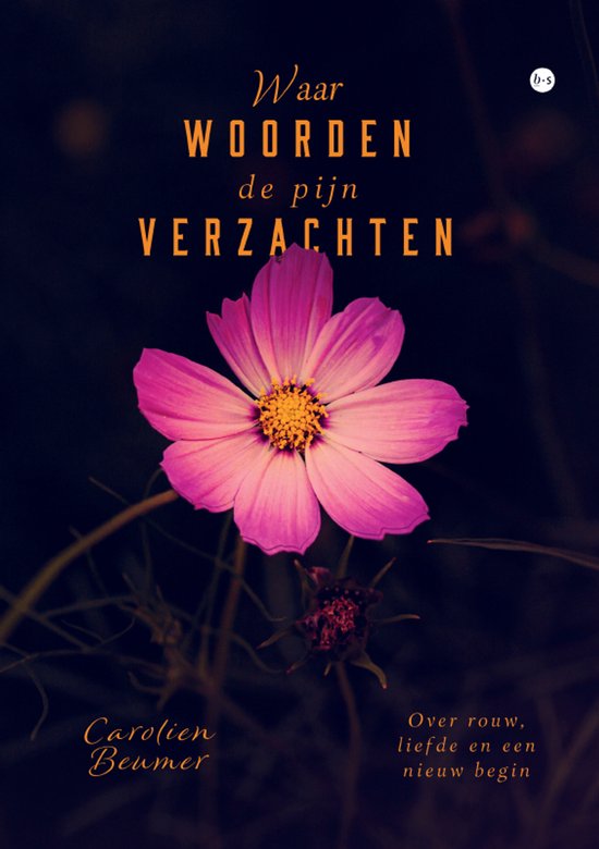 Waar woorden de pijn verzachten - cover