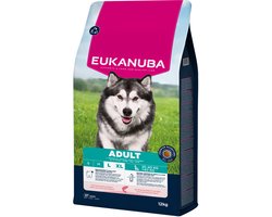 Eukanuba Adult Large Breed - Hondenbrokken - Zalm Gerst 12 kg