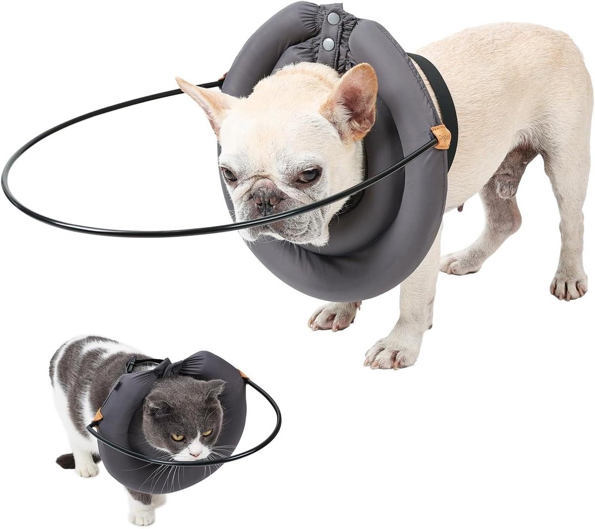 Allecto plus - Elizabethaanse halsband voor blinde hond, geleidingsapparaat, botsing preventie kraag