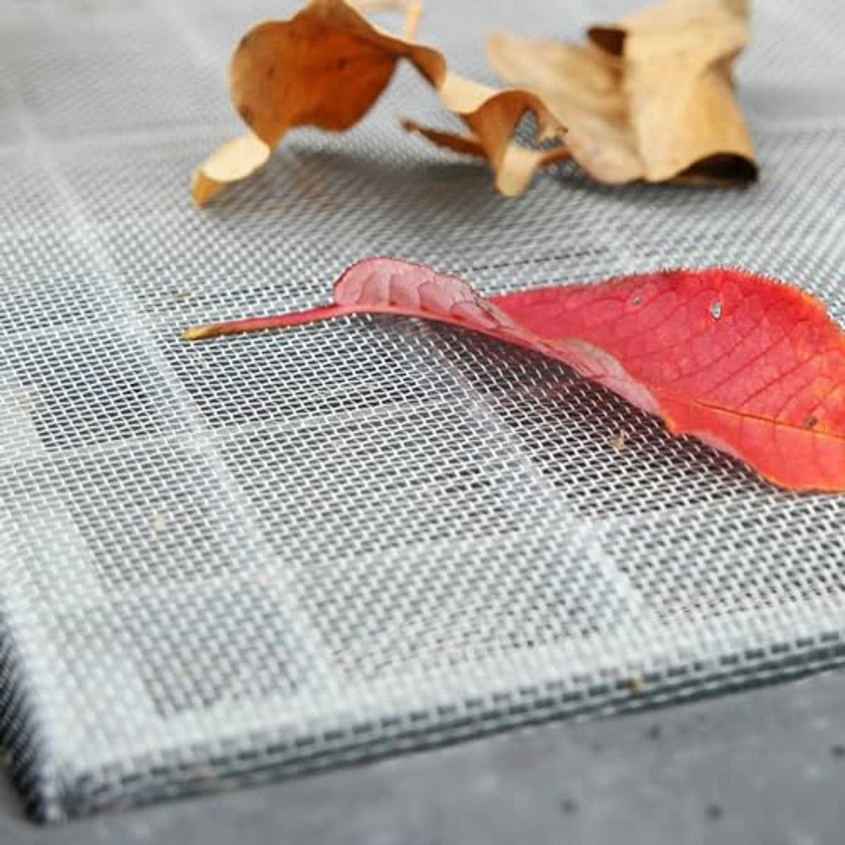 Vliegengaas voor ramen en deuren - Insectenbescherming, muizen- en rattenafscherming 100x100 cm