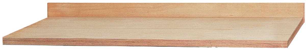 WS24 Rückbrett B x T x H 1.500 x 12 x 120 mm - WS24-100347