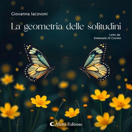 La geometria delle solitudini - cover