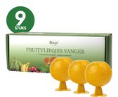 Fruitvliegjes Vanger – 9 Stuks – Fruitvliegjesval