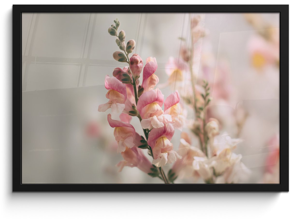 FrameYourWall Poster in lijst - Fotolijst 60x40 cm - Posters - Bloem - Leeuwenbek - Roze - Stengel - Posterlijst zwart - Decoratie - Wanddecoratie woonkamer - Muurdecoratie slaapkamer