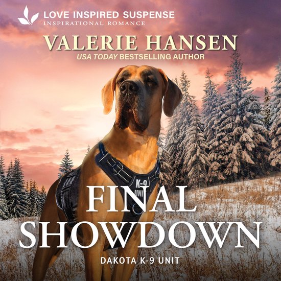 Final Showdown - cover