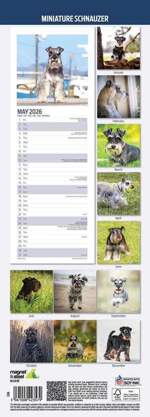 Schnauzer Miniature Calendar 2026 Square Dog Breed Wall Calendar - 16 Month Schnauzer Miniature Calendar 2026 Square Dog Breed Wall Calendar - 16 Month