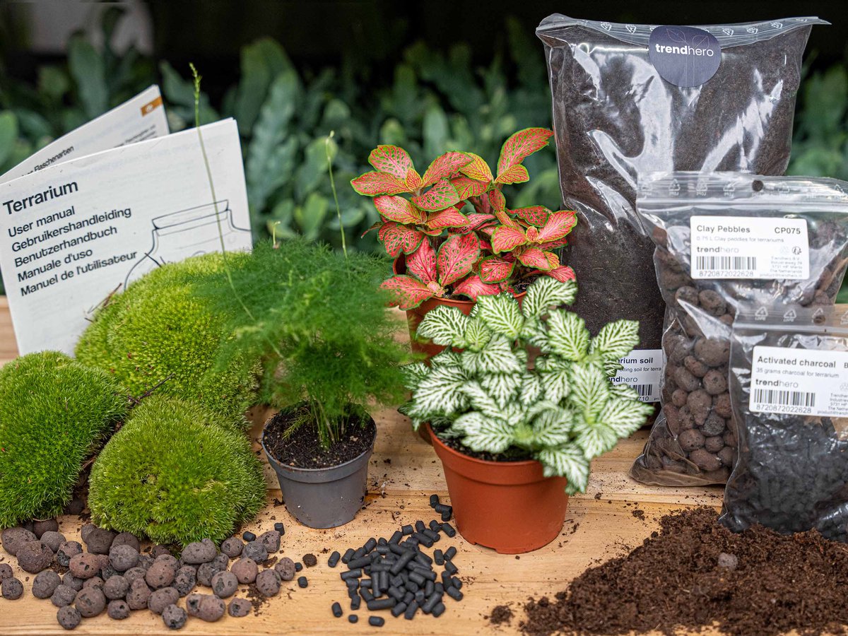 Planten terrarium pakket - Asparagus - 3 terrarium planten - Ecosysteem plant - Startpakket - Navulling - DIY Ecosysteem Planten Set | Inclusief Planten - Substraat - Terrarium potgrond - Bolmos - Actieve kool - Handleiding en tips | urbanjngl