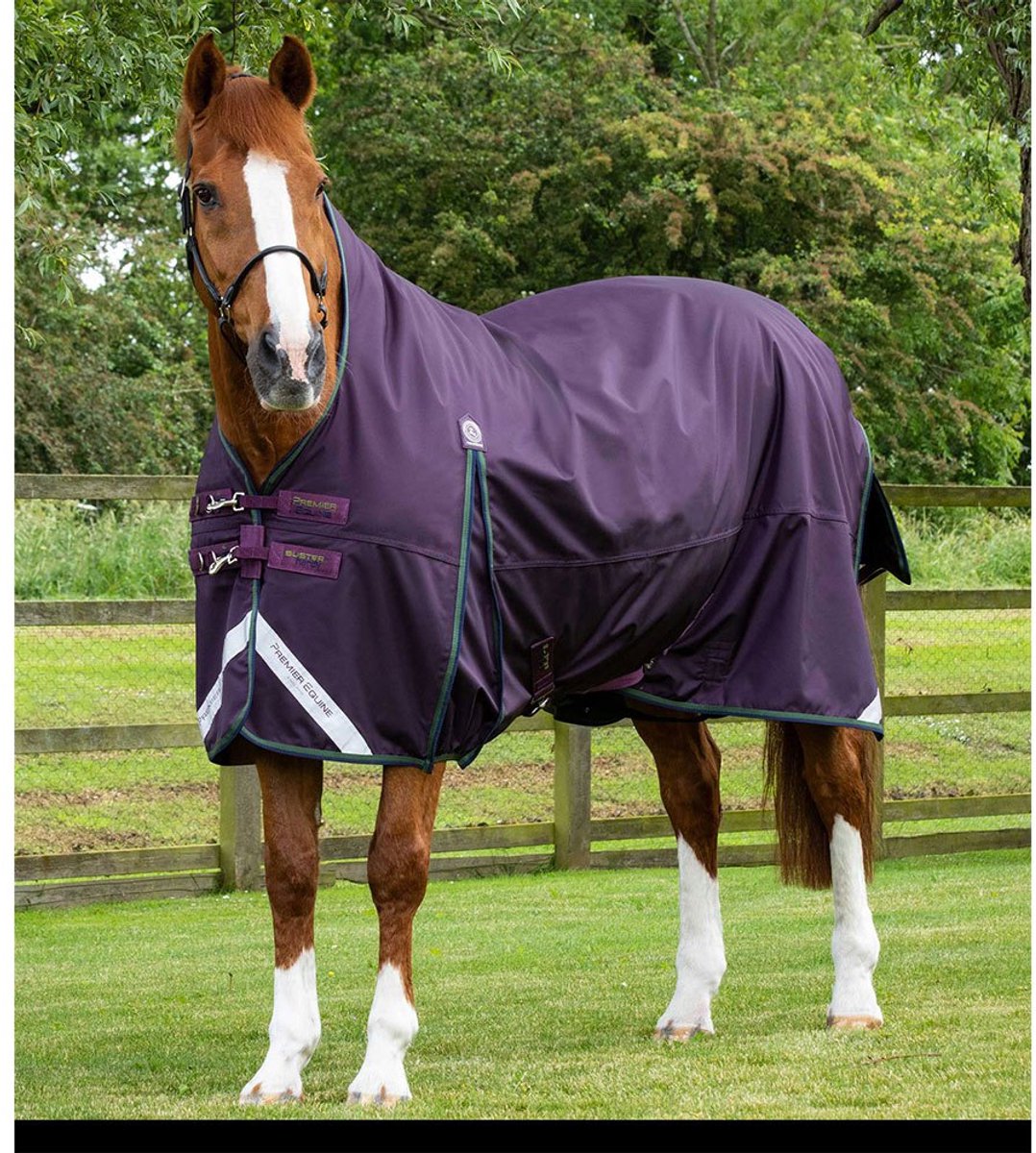 Outdoor paardendeken Premier Equine Buster Hardy 100 g