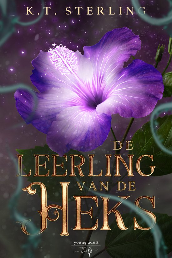 Dochters van de fae 2 - De leerling van de heks - cover