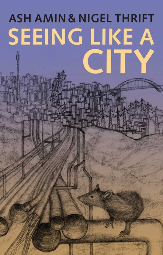 Seeing Like a City - cover