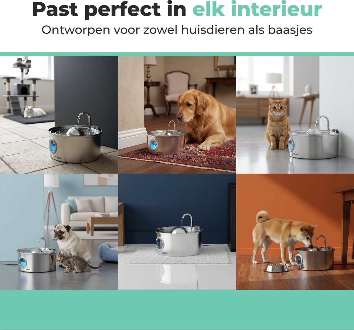 Cellavi R1X: RVS Drinkfontein met Filter - Kat & Hond thumbnail 5