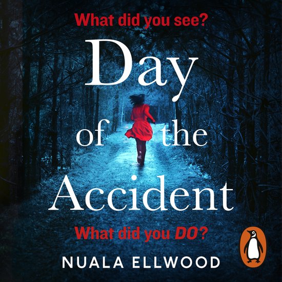 Day of the Accident - cover