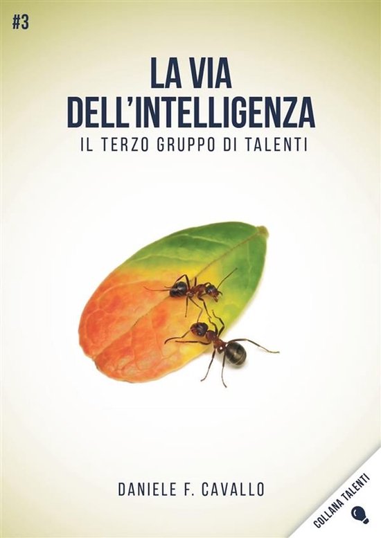 La via dell'Intelligenza - cover