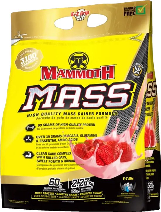 Interactive Nutrition Mammoth Mass