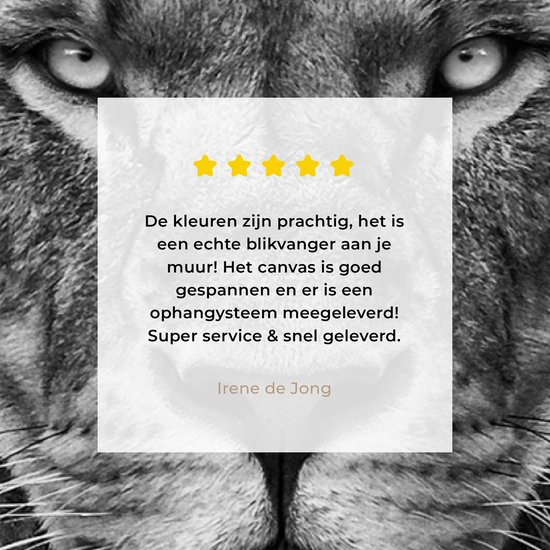 Tableau sur toile - Animaux sauvages - Lion - Zwart - Wit - Décoration murale - Toile - 80x40 cm - Salon - Toile Canvasdoek