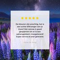 Image du produit 18