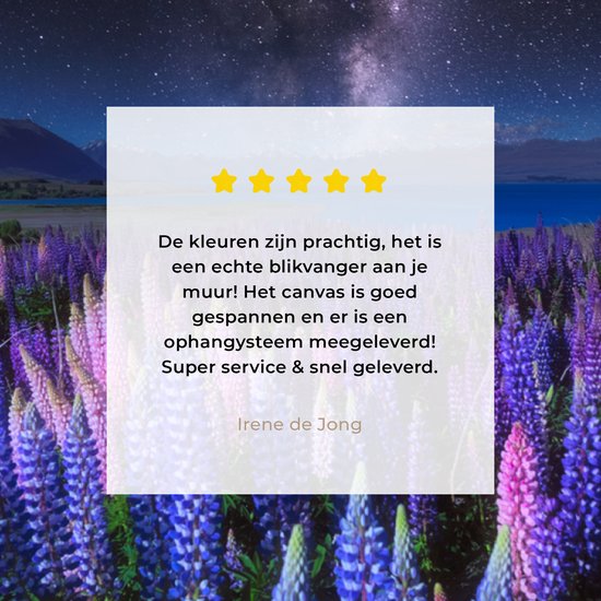Champ de fleurs avec des lupins violets et bleus la nuit au lac Tekapo en Nouvelle-Zélande 30x20 cm - petit - Tirage photo sur toile (Décoration murale salon / chambre) / Peintures Fleurs sur toile