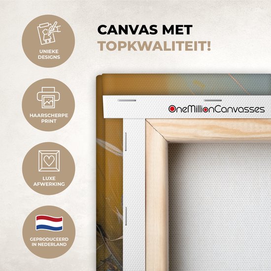 Fleurs - Art - Nature - Peinture à l'huile