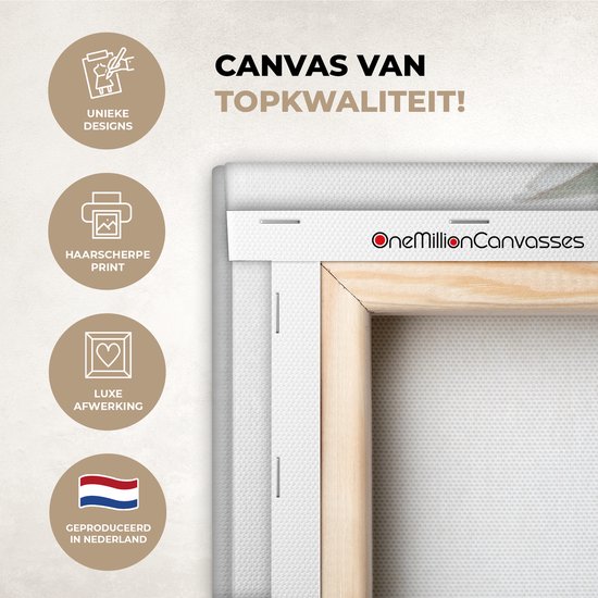 Canvas met het logo OneMillionCanvasses, tekst 'Canvas van topkwaliteit!' en icoontjes.