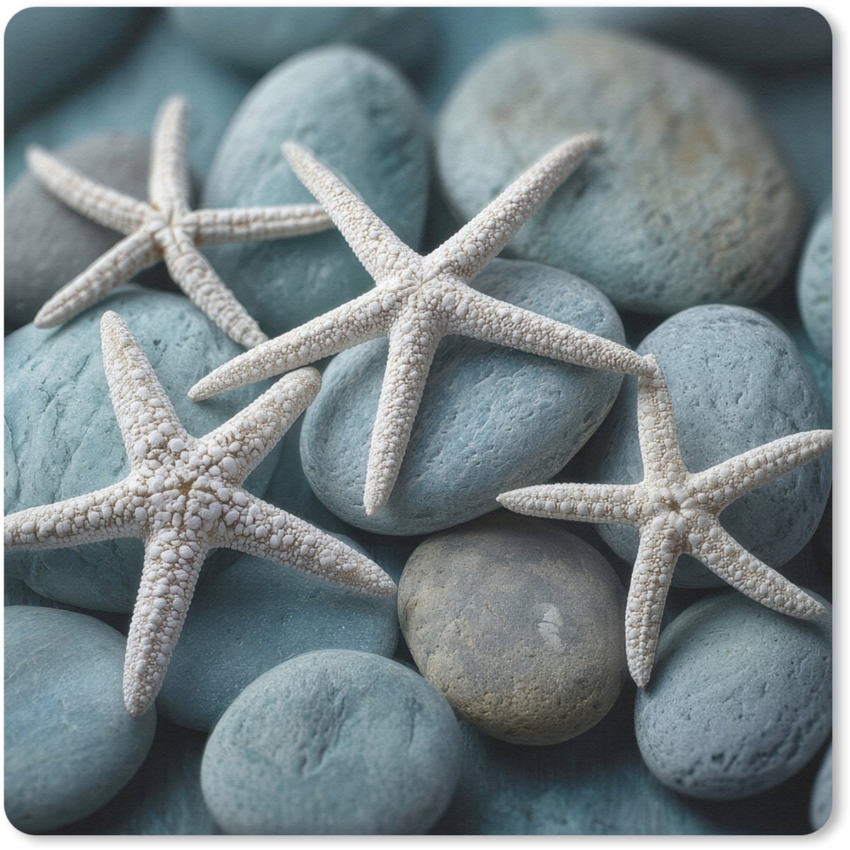 Muismat 30x30 cm - Mousepad Zeesterren - Stenen - Wit - Muismatten