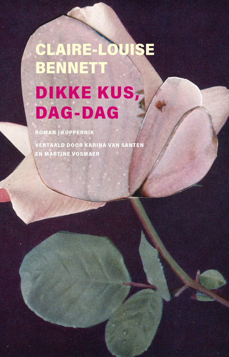 Omslag van Dikke kus, dag-dag