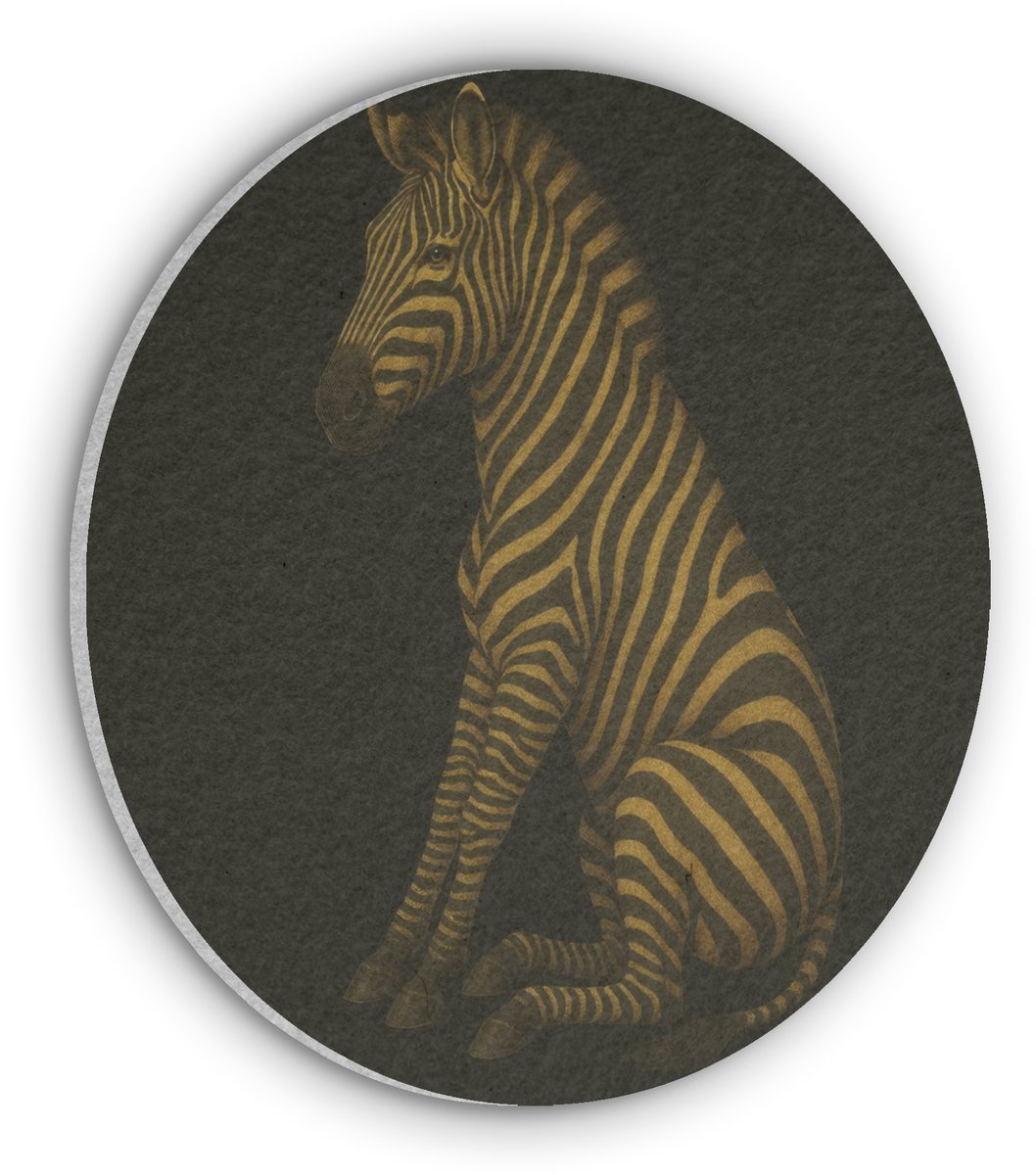 Akoestisch wandpaneel rond 80x80 cm - Vilt schilderij Zebra - Strepen - Goud - Ronde akoestische panelen - Geluidsdempende wanddecoratie - Geluidsisolatie wandcirkel - Muurdecoratie geluidspanelen