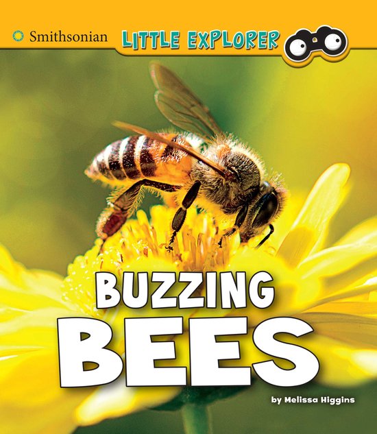 Little Entomologist 4D - Buzzing Bees - cover