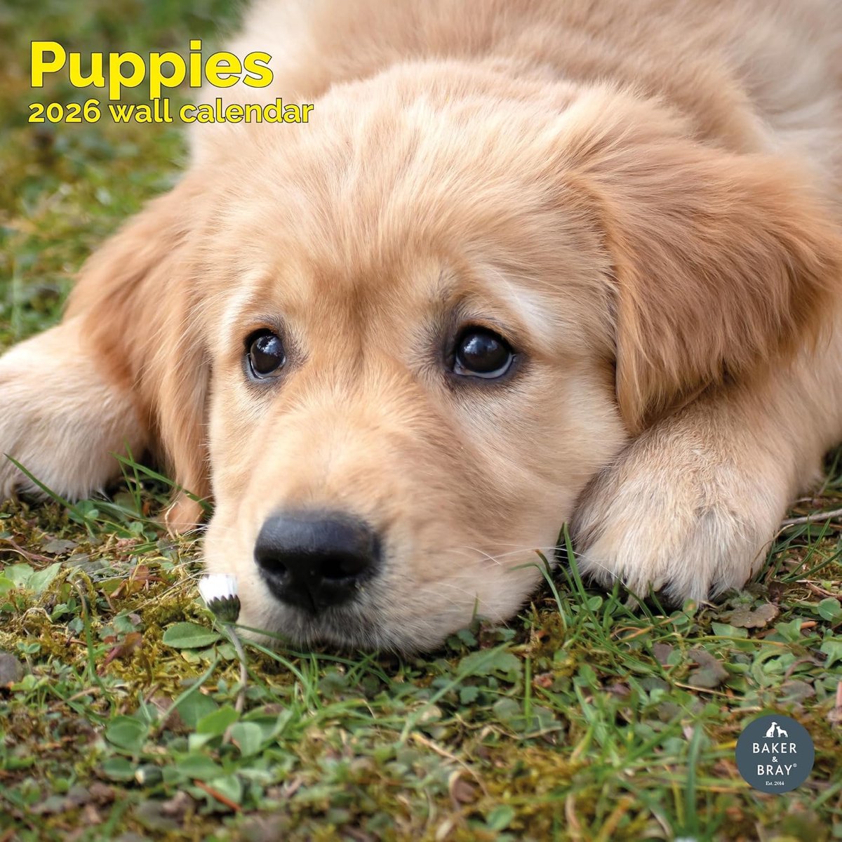 Puppies Kalender 2027